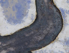 Waddenschaal-4 Detail.