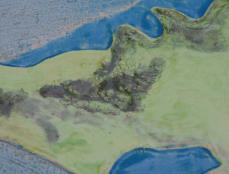 Waddenschaal-6 Detail.